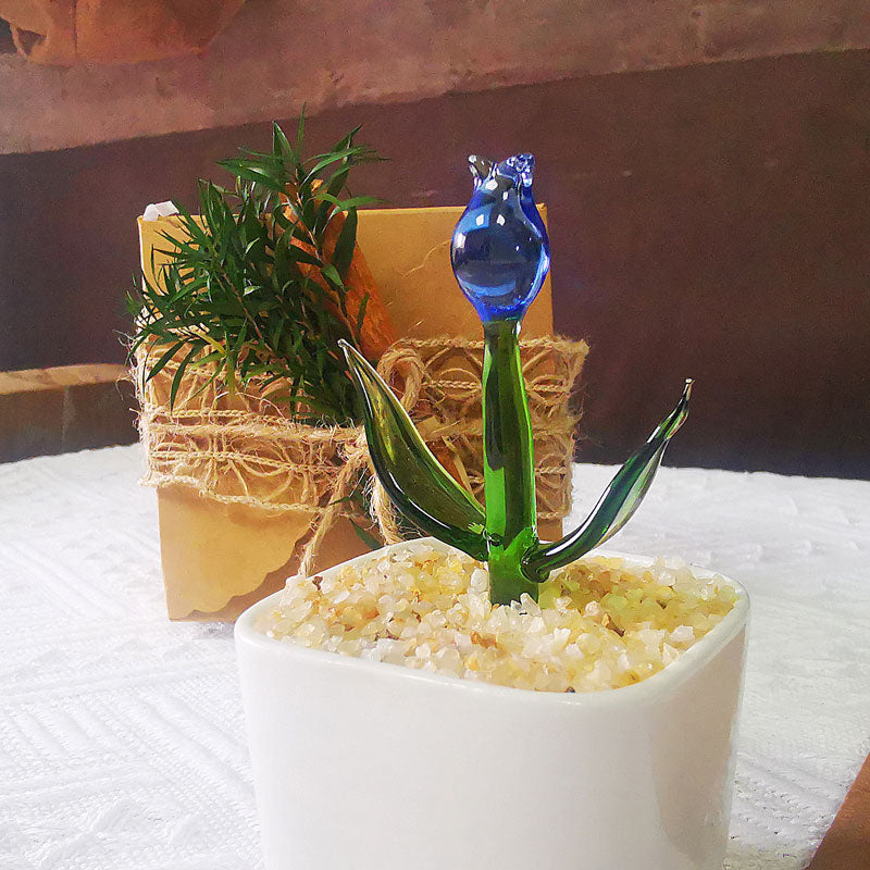 Mini Colorful Glass Plant Set | Versatile Colorful Glass Mini Plant | Gifts Set