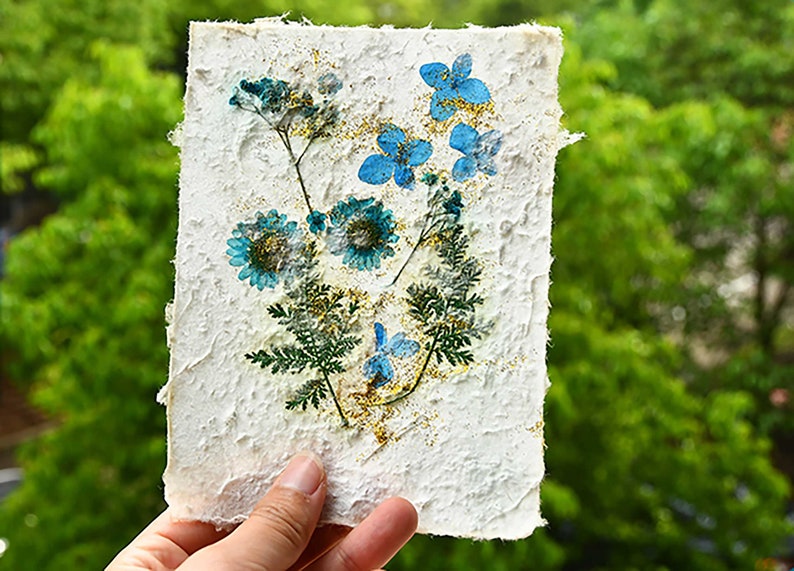 A5 Botanical paper making Kit Handmade paper kit fun craft activity