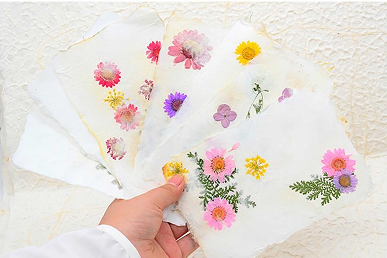 A5 Botanical paper making Kit Handmade paper kit fun craft activity