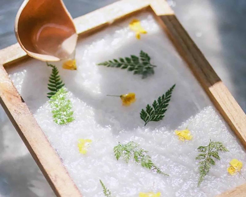 A5 Botanical paper making Kit Handmade paper kit fun craft activity