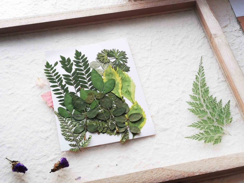 A5 Botanical paper making Kit Handmade paper kit fun craft activity