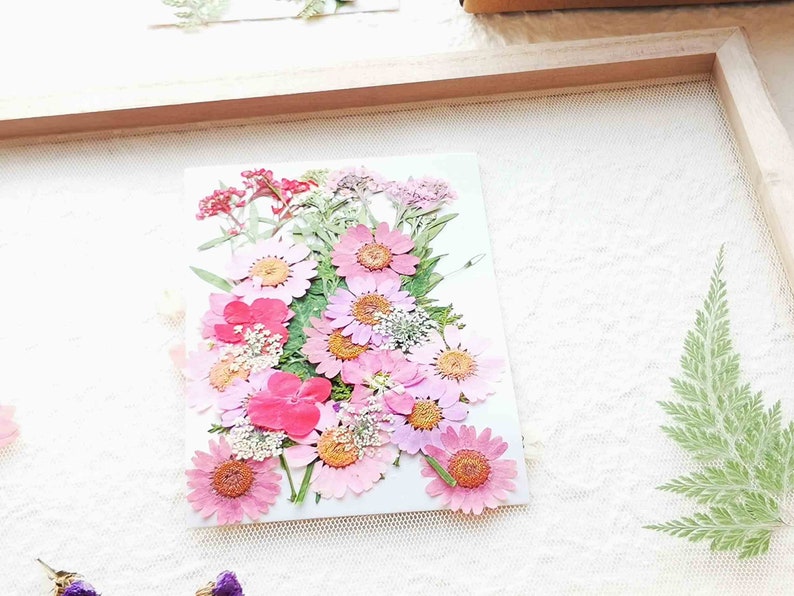 A5 Botanical paper making Kit Handmade paper kit fun craft activity